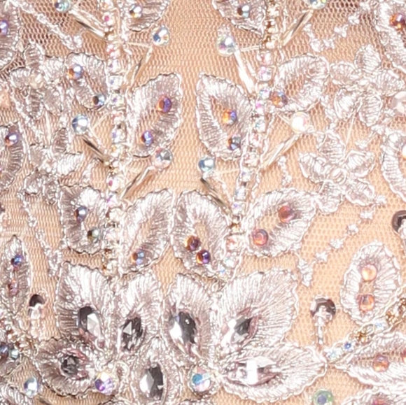 Champagne embroidered long gown - Picture 4 of 8